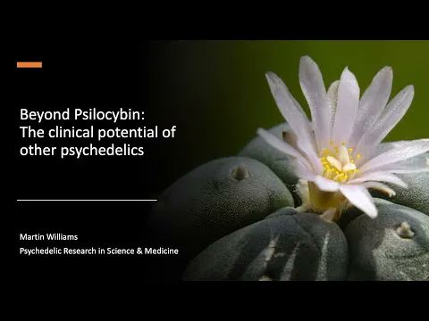 PRISMNews's tweet photo. Dr Martin Williams delivered his presentation on the potential of other psychedelics beyond psilocybin.
Watch the full talk here: https://t.co/wp80W2H6Vk
Help us by donating - https://t.co/xlrjyGVKaj
#Psychedelic #PRISM https://t.co/QVlSzCeY8M
