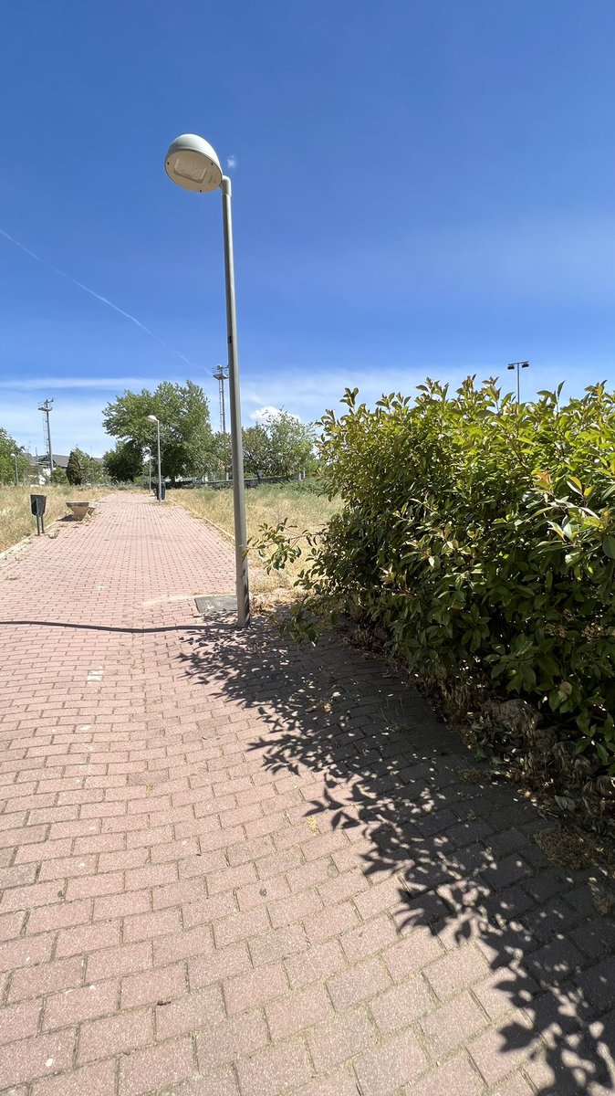 ArroyodelFresno's tweet photo. ¿Hasta cuando van a estar los parques y parcelas de nuestro barrio como selvas? Hay fecha prevista para limpiarlos? @JMDFuencarral @Lineamadrid https://t.co/ORO1fuRlJb