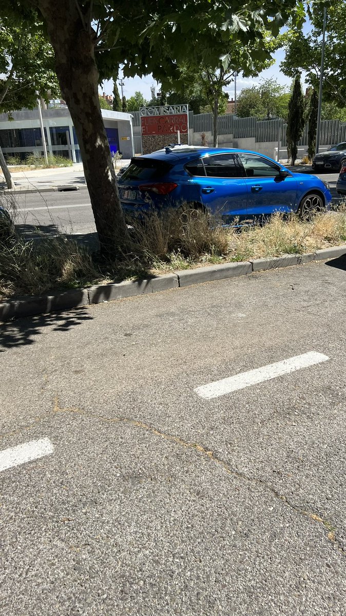 ArroyodelFresno's tweet photo. ¿Hasta cuando van a estar los parques y parcelas de nuestro barrio como selvas? Hay fecha prevista para limpiarlos? @JMDFuencarral @Lineamadrid https://t.co/ORO1fuRlJb