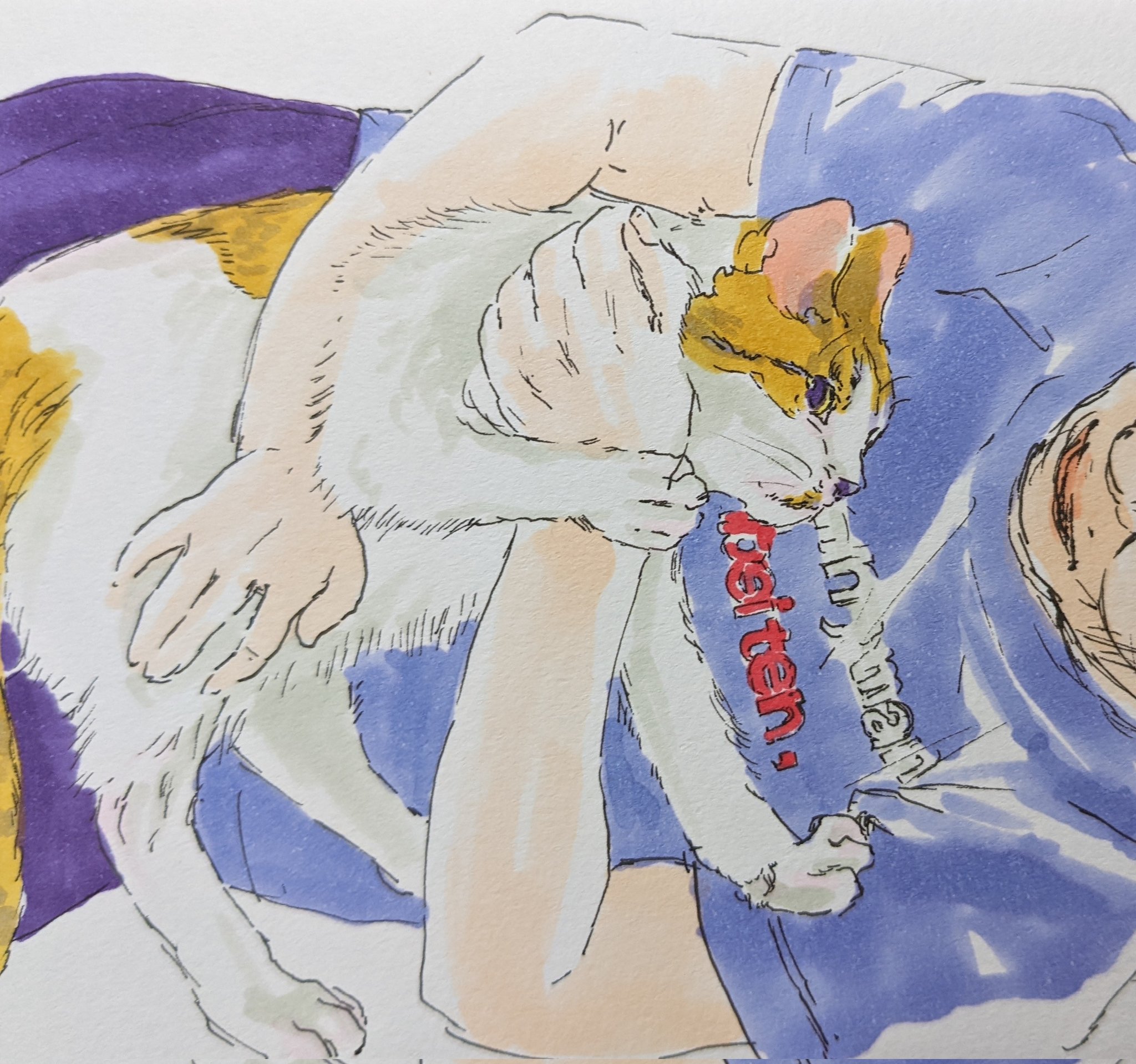 تويتر Geshiku على تويتر 抱っこ拒否する猫 猫 イラスト T Co Bm80b4wz6s