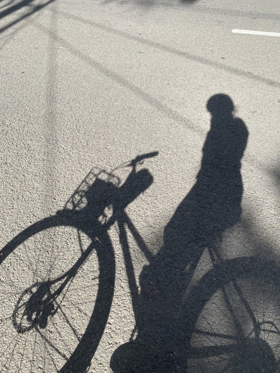 zimpanzu's tweet photo. Happy #WorldBicycleDay 💚 hoping to be able to bike more daily and ride to more awesome places in the future https://t.co/amowTdbe5v