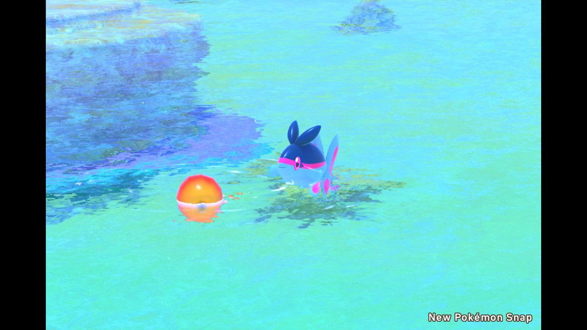 ソードシールド サメハダーの種族値 わざ 特性など能力と入手方法 ポケモン剣盾 攻略大百科