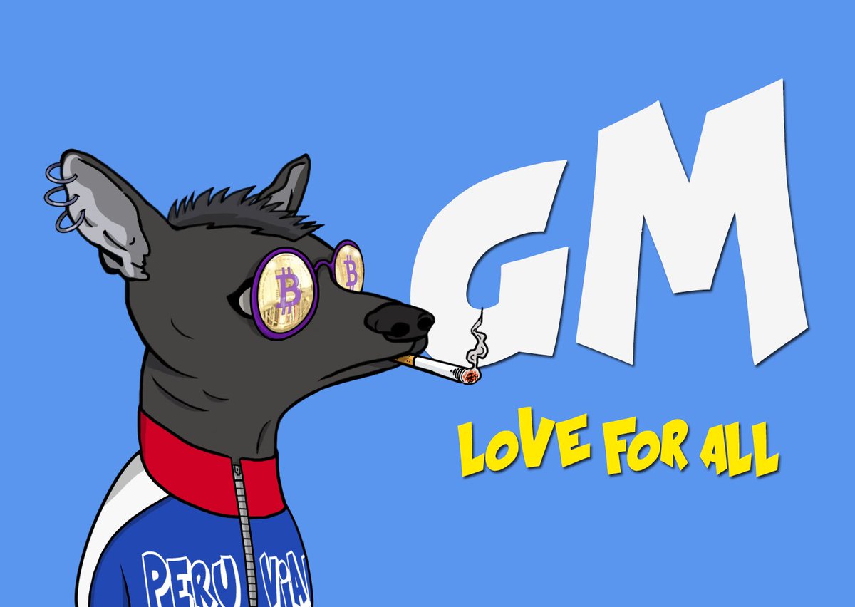 Peruvian Dog Club | MINT IN LIVE tweet media