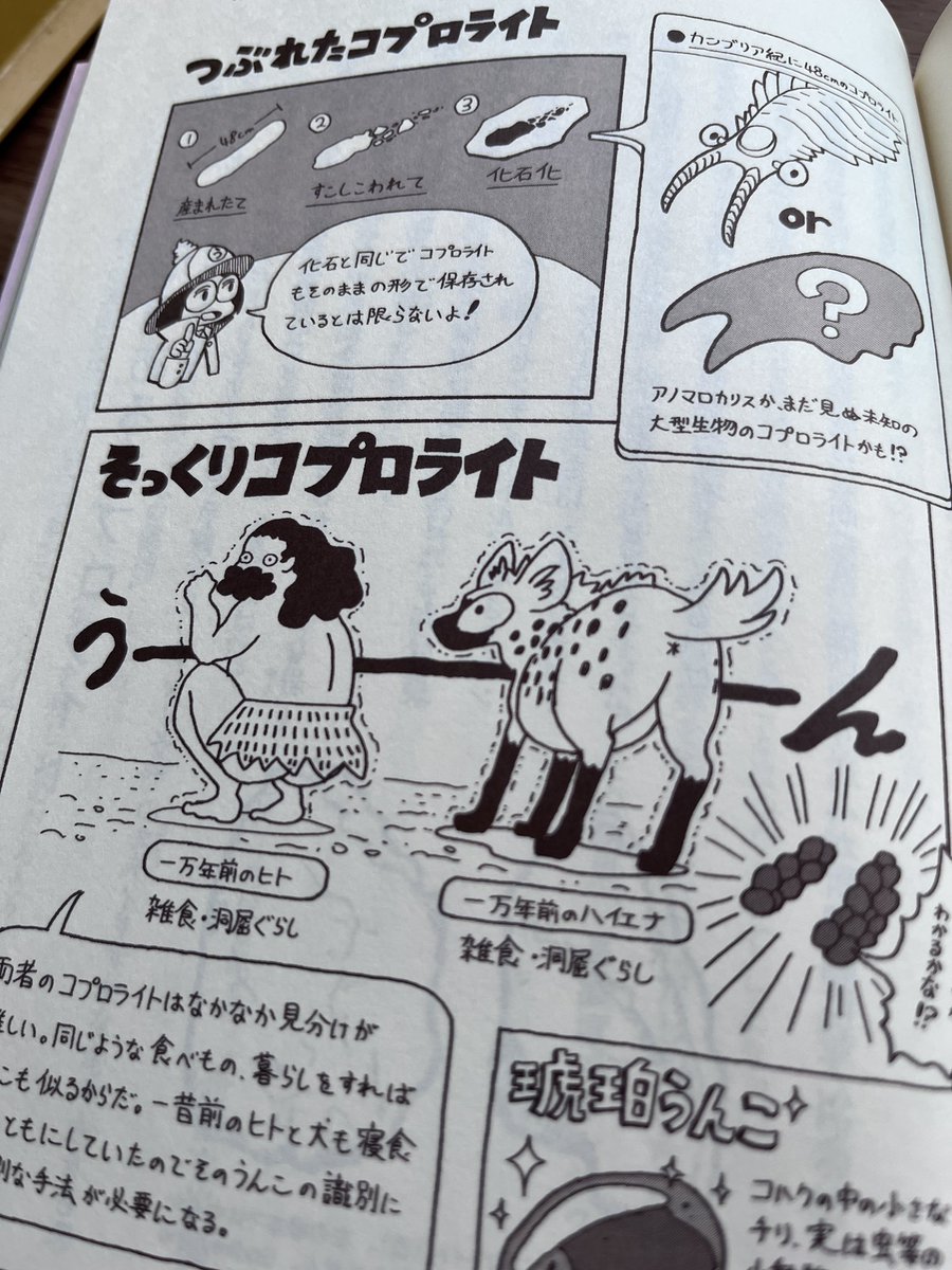 【お知らせ】
挿絵を担当した『こっそり楽しむうんこ化石の世界』(土屋健著)が6月16日から発売されます!うんこ化石からわかる古生物の生態や、うんこにまつわるいにしえの生態系について等、とにかく他ではあまり触れられないうんこ化石についてよくわかる激アツ本です!
https://t.co/XMoT8wMNYN 