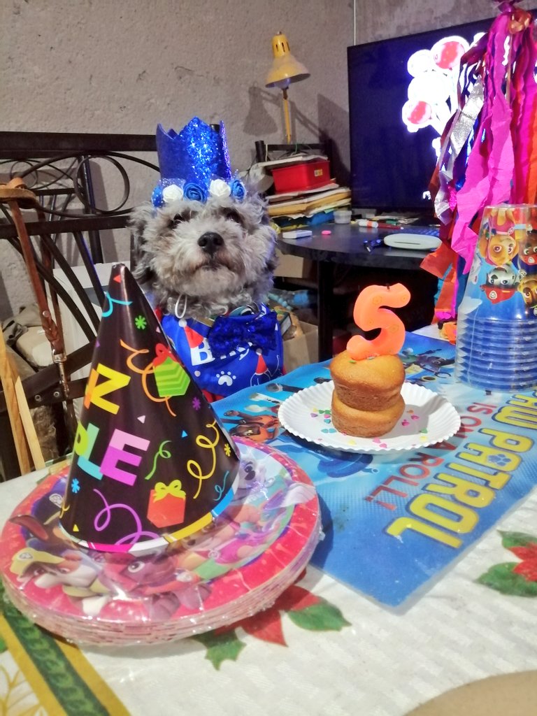 el_Kishy's tweet photo. ¡HBD to me!🥳 https://t.co/UfYVybQlnu