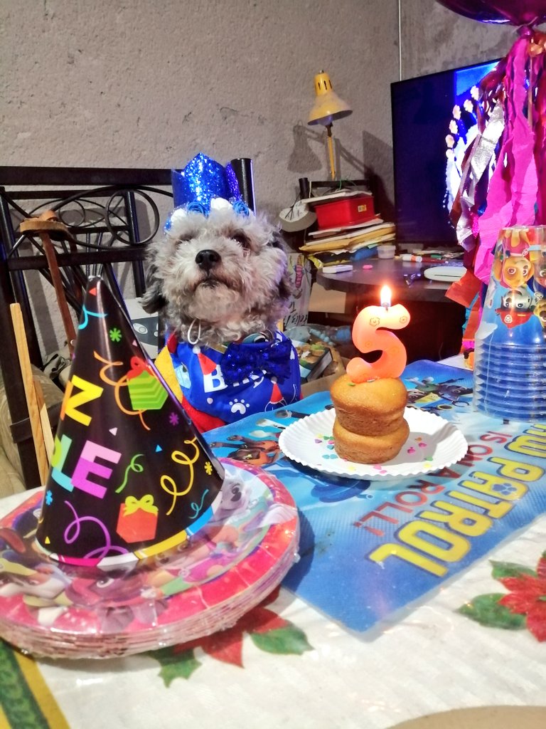 el_Kishy's tweet photo. ¡HBD to me!🥳 https://t.co/UfYVybQlnu