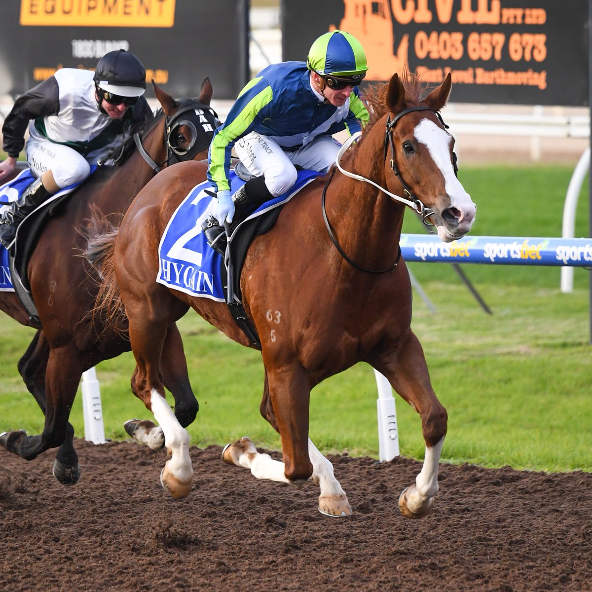 Racing's tweet photo. 🎶 I believe I can fly...

Shotmaker is a beautiful horse! 🥰

(📸 via @Racing__Photos) https://t.co/fB9OuGtYcg
