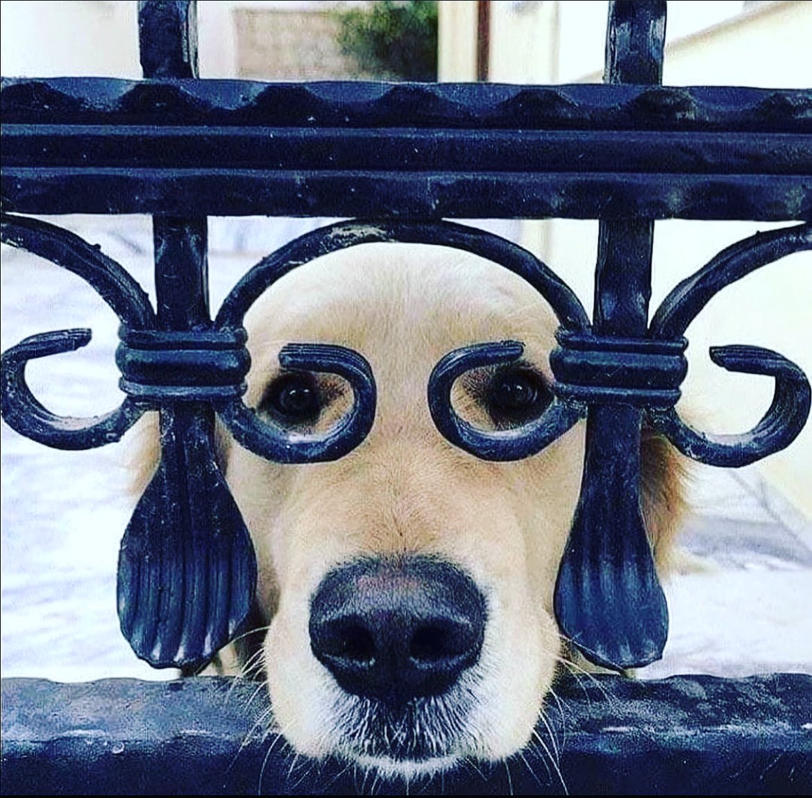 Ben de yakışıklıyım ama 🤓 #JohnnyDepp