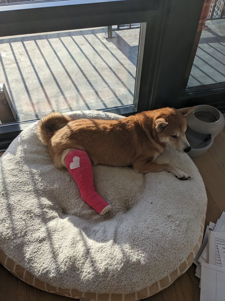 GenelJumalon's tweet photo. I don't like taking money without offering some sort of reward. So running some sales on INPRNT and https://t.co/VL4qNSwzlb to pay for Yue's medical bill.

I will also sign Genji's cast for anyone that donates on Ko-Fi.

https://t.co/lVbGoIUWKq

1/4 https://t.co/U7WSJrKUqP