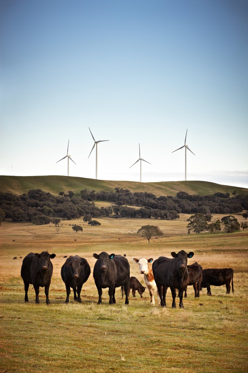 ACCIONAEnergia's tweet photo. This Sunday we celebrate #WorldEnvironmentDay. We are convinced of the need to drive the energy transition with renewable energies and innovative solutions that allow us to be at the forefront of the most advanced environmental standards 🌏⚡️ https://t.co/hOhBwwBD4b