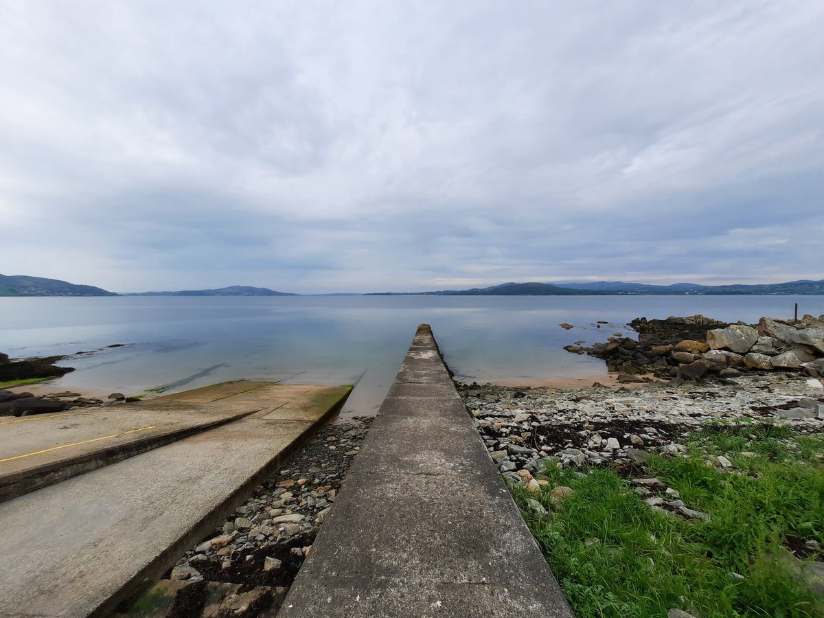 Bernie Murphy Irish Designer tweet media