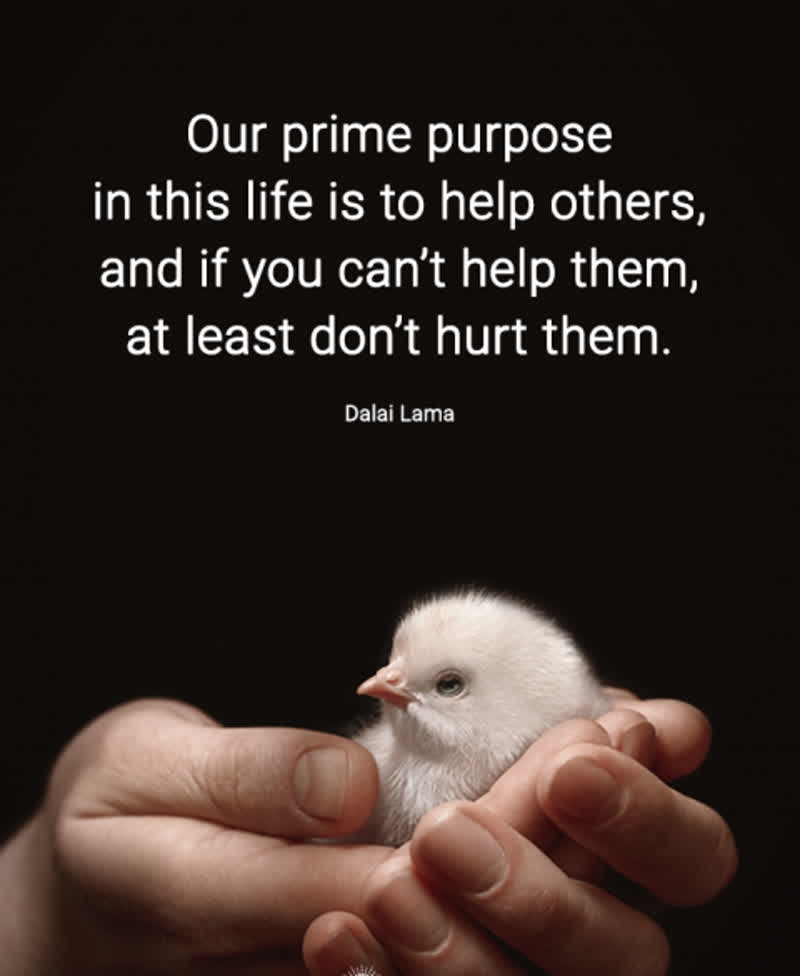 RiveraREALTOR's tweet photo. The most successful and sustainable businesses fulfill a need and help people. As an individual, you should strive to help others.

#yourhousedoctor 🌠 #spiritual #faith #faithful #god #helpothers #selflessness #doitfortherightreasons https://t.co/FRAwBqFy3n