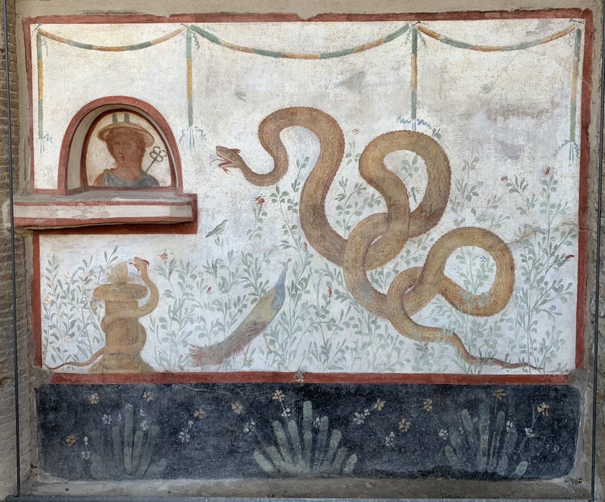 Somewhat_Quiet's tweet photo. #FrescoFriday from one of my favorite places in #Pompeii, the House of the #Cryptoporticus. We are looking at a #lararium; #Mercury is looking at you. The household gods have been gone for a long time, but thankfully, we can still see what remains of their home. https://t.co/cuiZvu2rPE