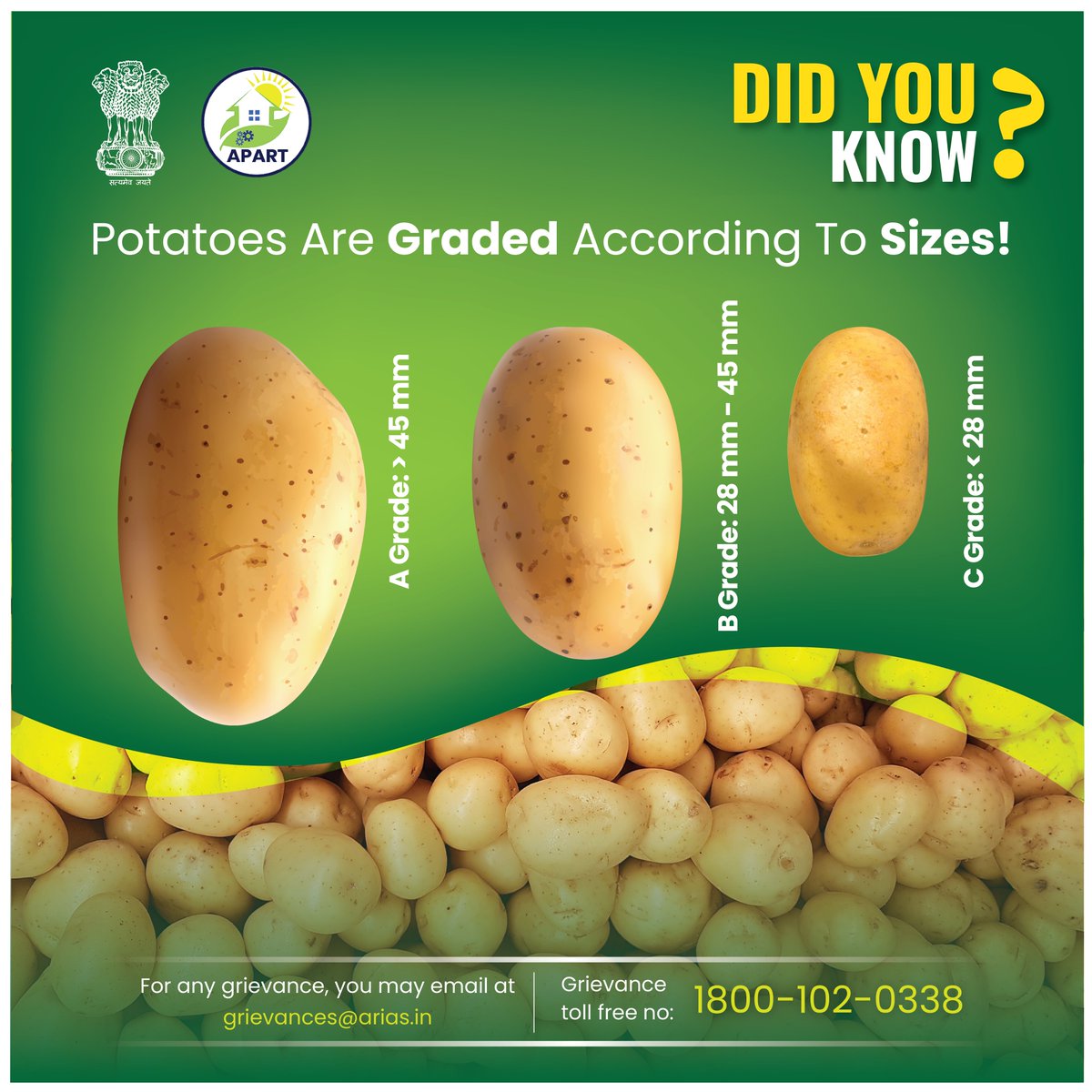 apartassam's tweet photo. Potatoes are graded according to sizes.
#APARTAssam #horticulture #agriculture #agribusiness #potato #potatograding #potatovaluechain #vocalforlocal #farm #farmers #farmingknowledge https://t.co/dQ38usgT67
