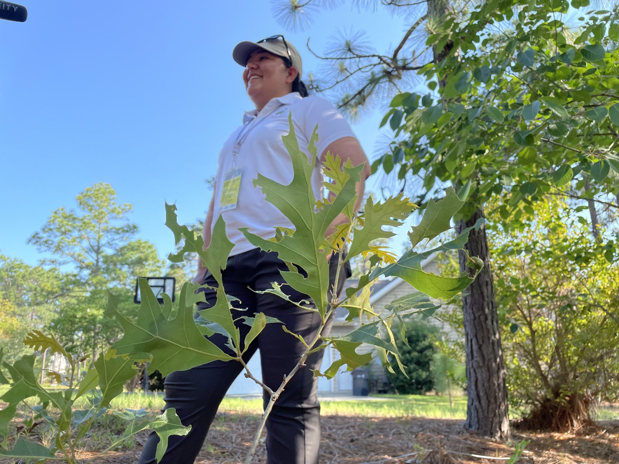 Katee Owen Onlyfans: A Story Of Perseverance And Triumph - rag61w6