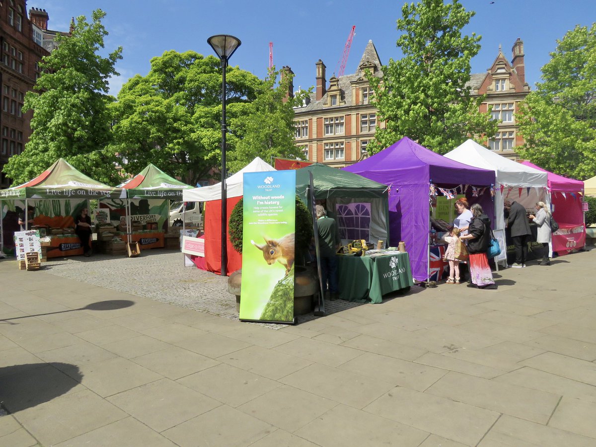 Dave: The Steel City Snapper tweet media