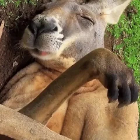 Gm, wake us up when it’s the weekend