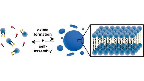 Angewandte Chemie tweet media