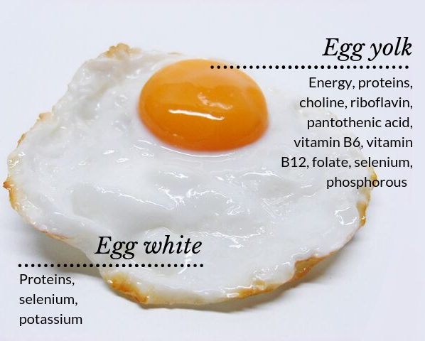 EyecareMeyer's tweet photo. GET EGG-SITED - It's National Egg Day! Eggs are great for eye health. The yolks contain vitamin A, lutein, zeaxanthin, and zinc...vital to eye health. Vitamin A safeguards the cornea. Eat them boiled, fried, or scrambled! #eggs #eyehealth #eyepromise #eyeexam #eyes #eyecare https://t.co/jNQn2HQjRF