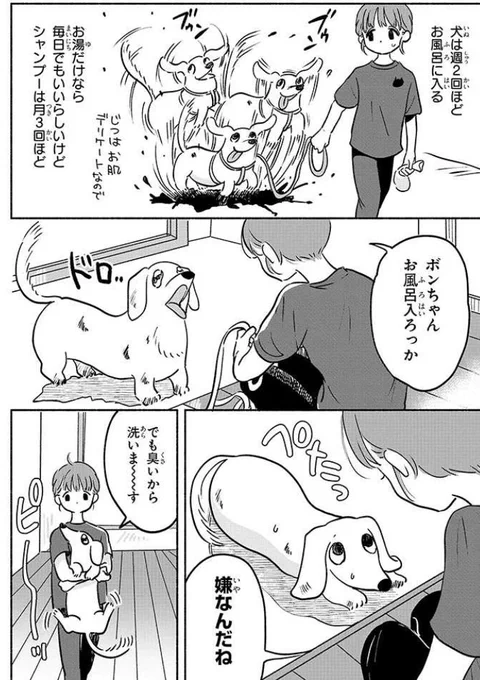 犬猫マンガ更新したよ! 犬がかわいい回 