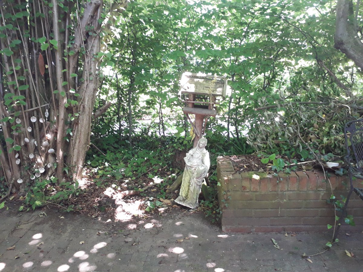 Het Mariabeeld achter mijn huis heeft een andere plek gekregen.