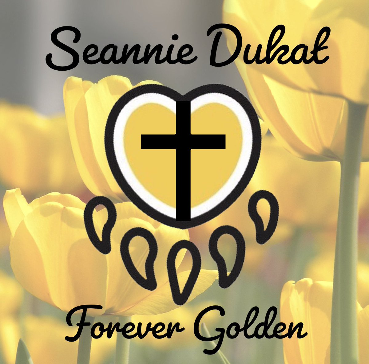 long_ua's tweet photo. 42 years ago today Asenath Dukat was taken. God bless the Dukat family, her classmates, &amp; friends who never stop missing her. God grant the courage for those to come forward and set their souls free. God give us the strength to finish this mission for our forever Golden Bear. https://t.co/AiJCGBSoOD