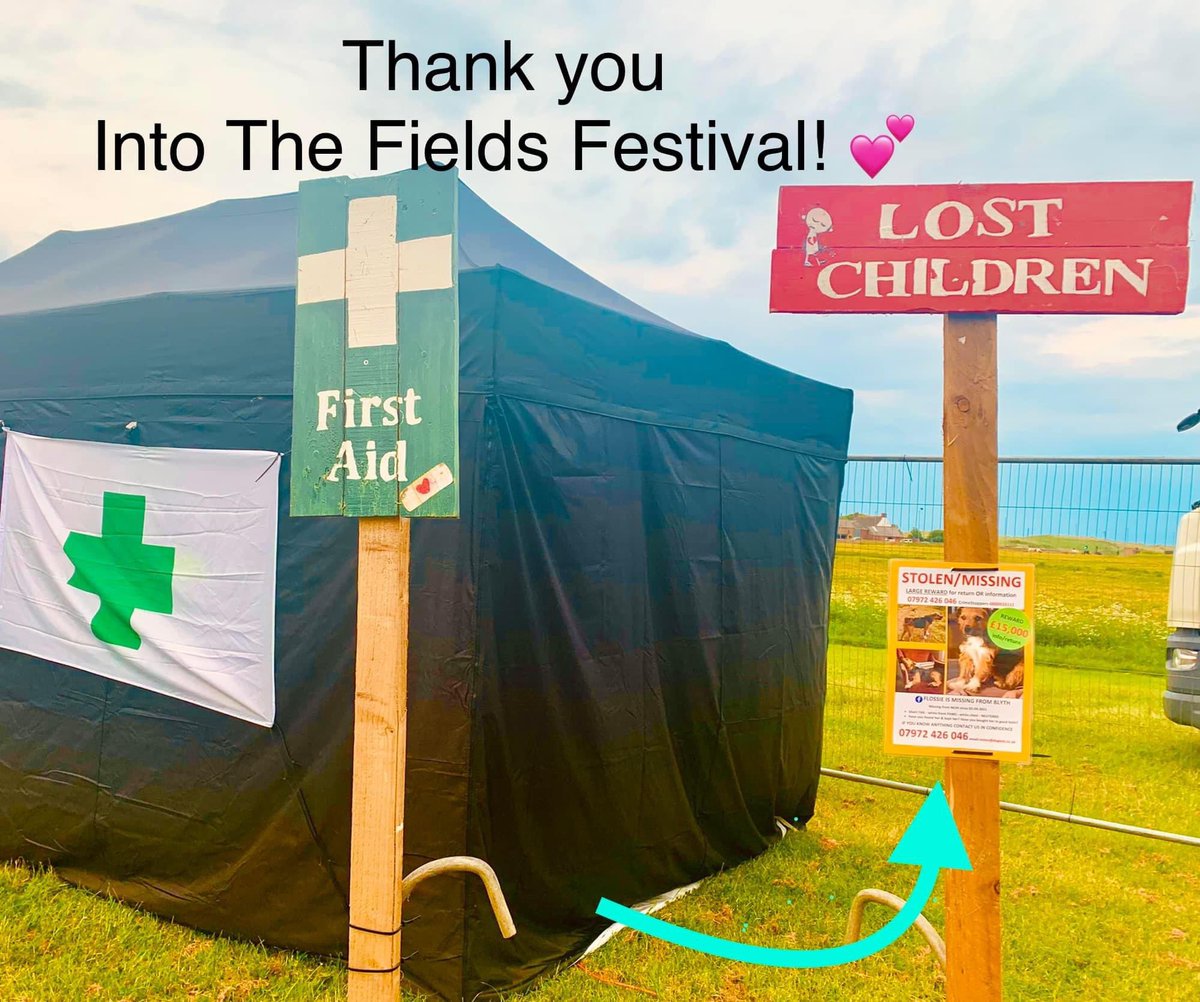 FindFlossie's tweet photo. Thank you #intothefields music festival for displaying Flossie’s posters on site 💕🎶💕 Special guest TBA Fri 3 June - who might it be? #blyth #blythfestival #music #livemusic #meggiesburn #NorthumberlandCoast #camping #festival #FindFlossie story here ➡️ https://t.co/43I2BUJAHx https://t.co/5fltO2B9j6