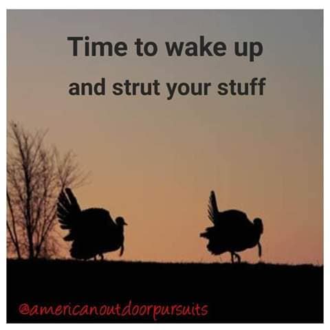 TheyCallMeDoc1's tweet image. Ultra MAGA 
@TheyCallMeDoc1 
@tracied51 
@Lilychef8
@cinarte1956
@Scobra642
@CaliGal78
@NinaDeplorable
@GabiNga1
@pamelabelfield
@TheRebeluniter
@elairya
@drag0nmaster17
@ChuckCrunk1
@Rob___1976
@DonaCoad
@LeeGimenez
@Bootyicious64
@HEYDOCGAYE
@SrvG_d
@dragohylndr
@thatgirldeb56