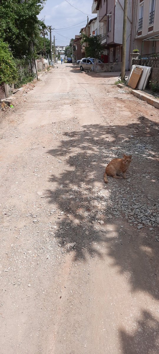 Koceli büyük şehir kartepe sokakları toz duman