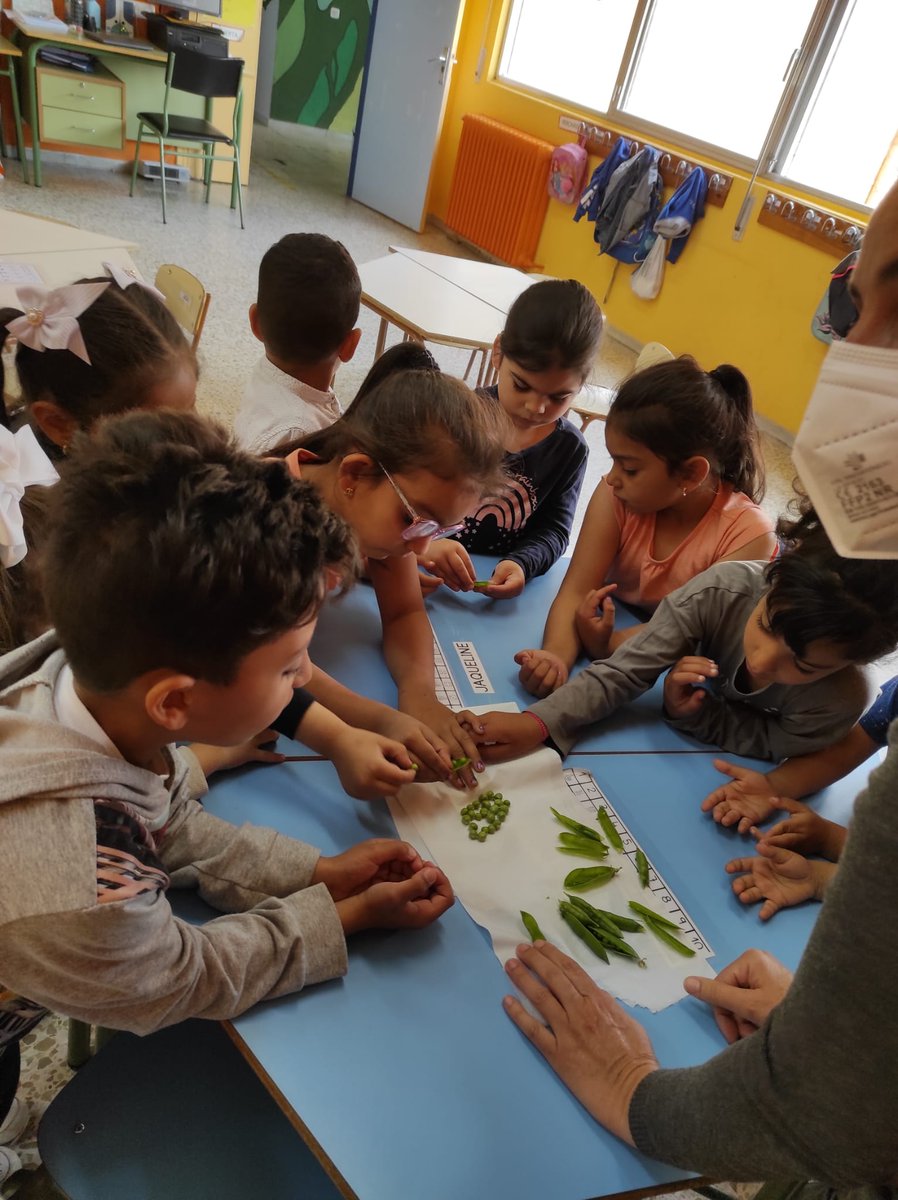 ceip_x's tweet photo. Recolección y degustación de guisantes por los alumnos de infantil.
#huertoescolar #alimentaciónsaludable #renaturalización https://t.co/0gs7DZUWfm