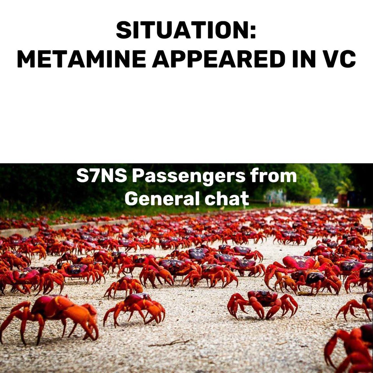 KaraevAllan's tweet photo. ANOTHER ONE MEME! @jamurao_ @JaelTpf @Kriss0022 @SussyUzi @Staria_ETH @metamin_io @s7nsstation https://t.co/AZFEOiAaZy