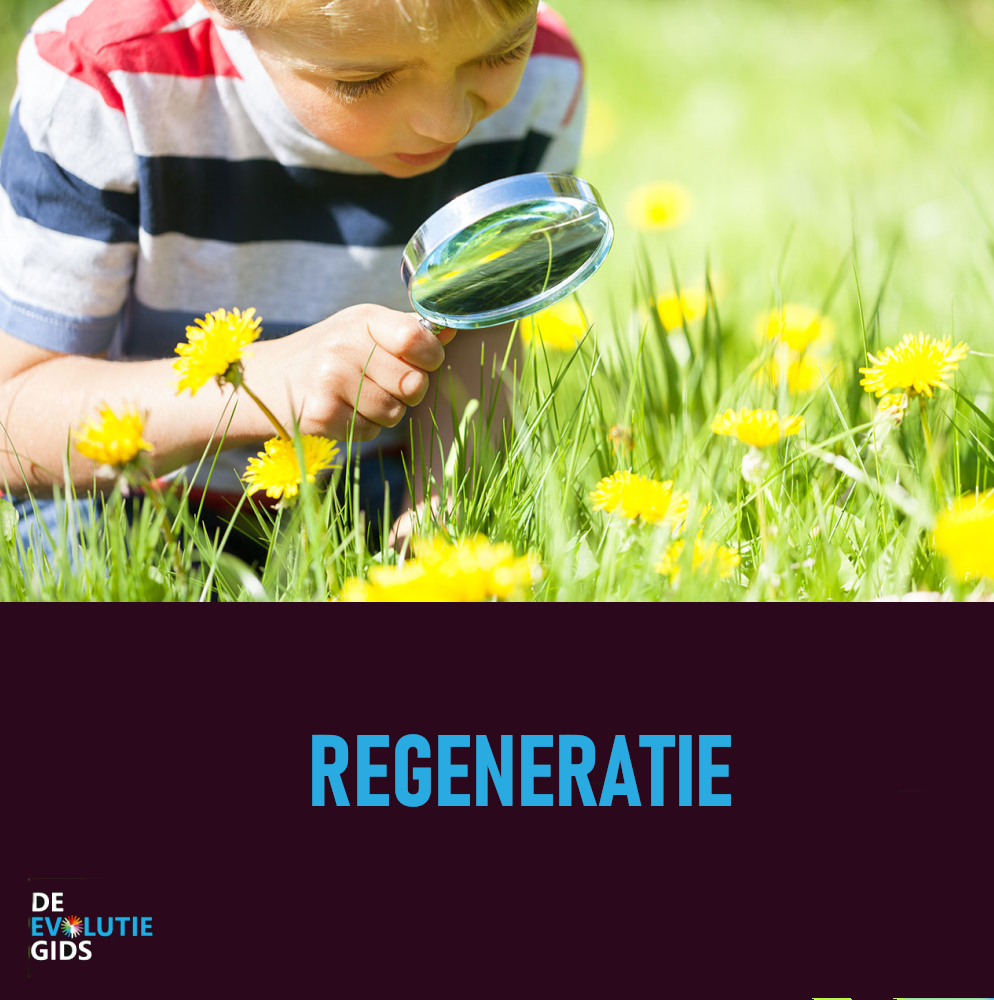 Evolutiegids's tweet photo. Duurzaamheid is gebaseerd op het verminderen van de negatieve milieu- en sociale effecten veroorzaakt door menselijk gedrag. Maar regeneratief denken en handelen doet véél meer. Regeneratie wint meer en meer aan kracht. https://t.co/uidwQH61H7 https://t.co/g0nKvhmRBW
