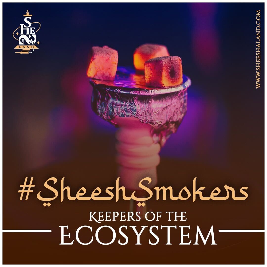 Sheeshaland_'s tweet photo. You are the Gatekeepers of the Sheesha community 💂🏻🚀

Flexing and promoting the #Sheeshas is your passion🎈💪🏻

#keepers #passion #NFT #Metaverse #Blockchain #playtoearn #sheeshaland https://t.co/4VckQQyRRq
