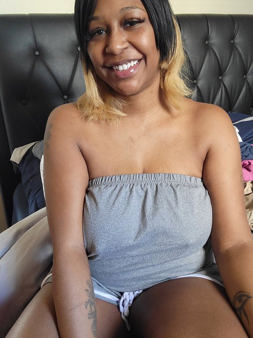 Indigo Tribe Agency’s pics and videos