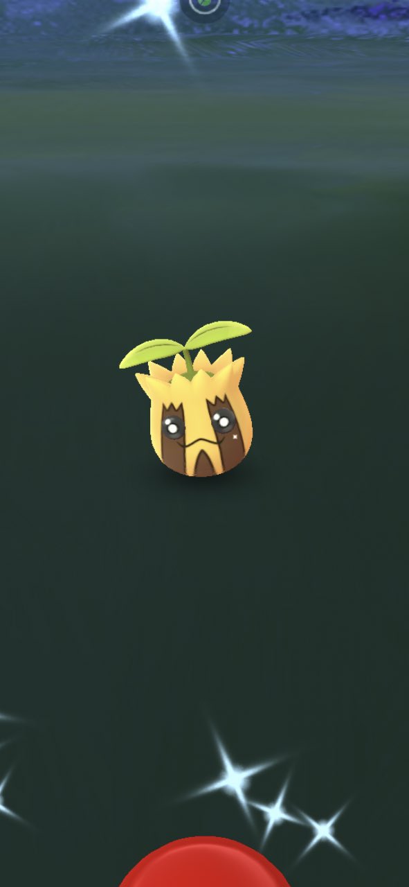 オムスター Flute Cafe ポケgo青lv 44 ヒマナッツの色違い出た 何年も待ち続けてたんやで キマワリ大好きだから進化させたいけど どっちにしよう迷う ポケモンgo ヒマナッツ ポケモンgo色違い T Co C0faqrsatg Twitter オムスター Flute Cafe ポケgo青lv 44 ヒマナッツの色違い出た 何年も待ち続けてたんやで キマワリ大好きだから進化させたいけど どっちにしよう迷う ポケモンgo ヒマナッツ ポケモンgo色違い T Co C0faqrsatg Twitter