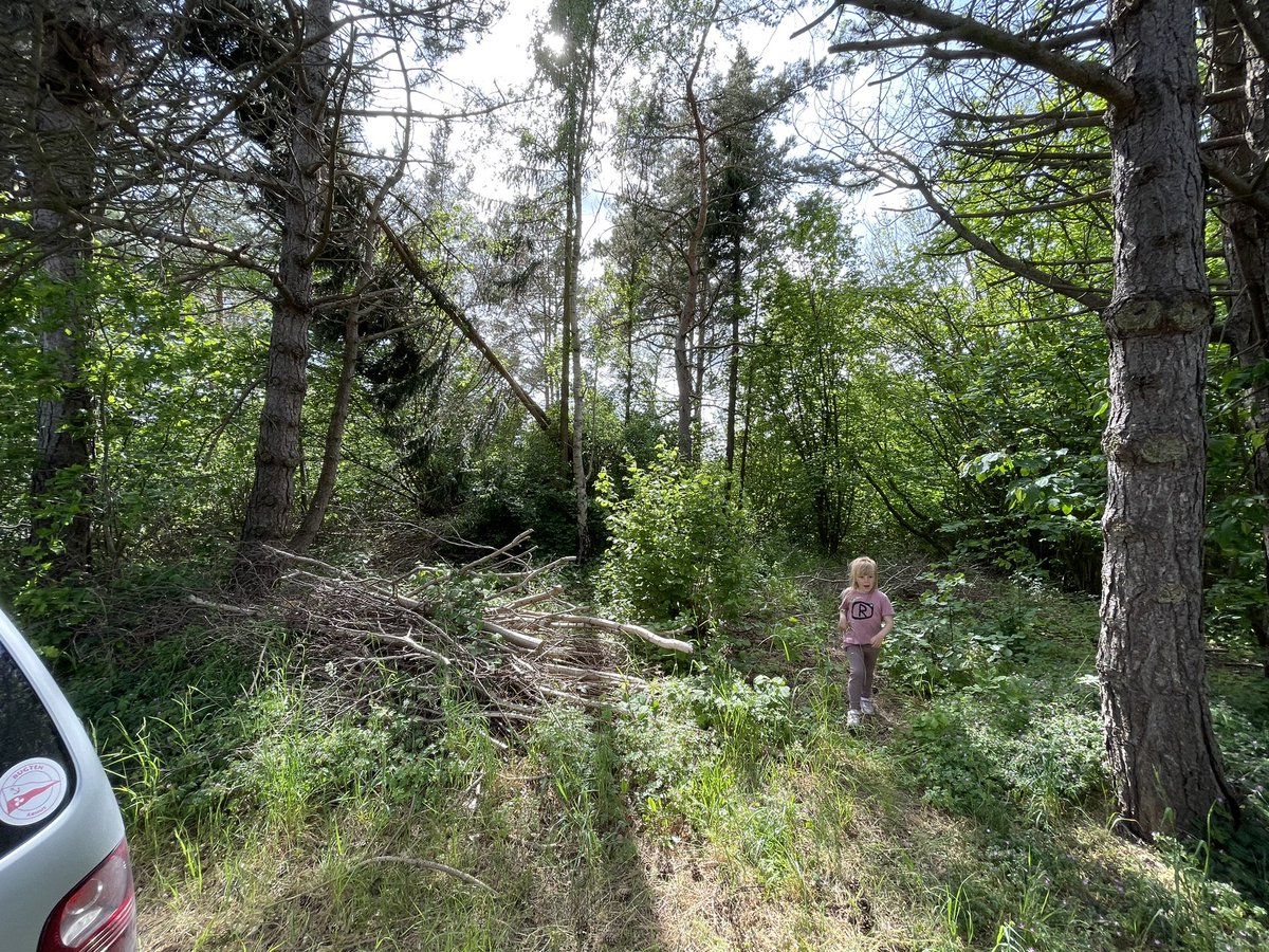 Marie-Louise Wagner tweet media