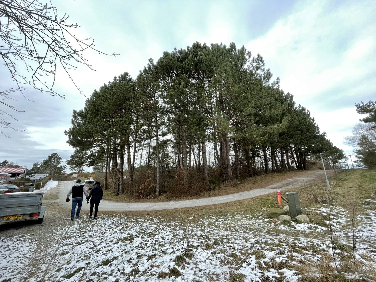 Marie-Louise Wagner tweet media