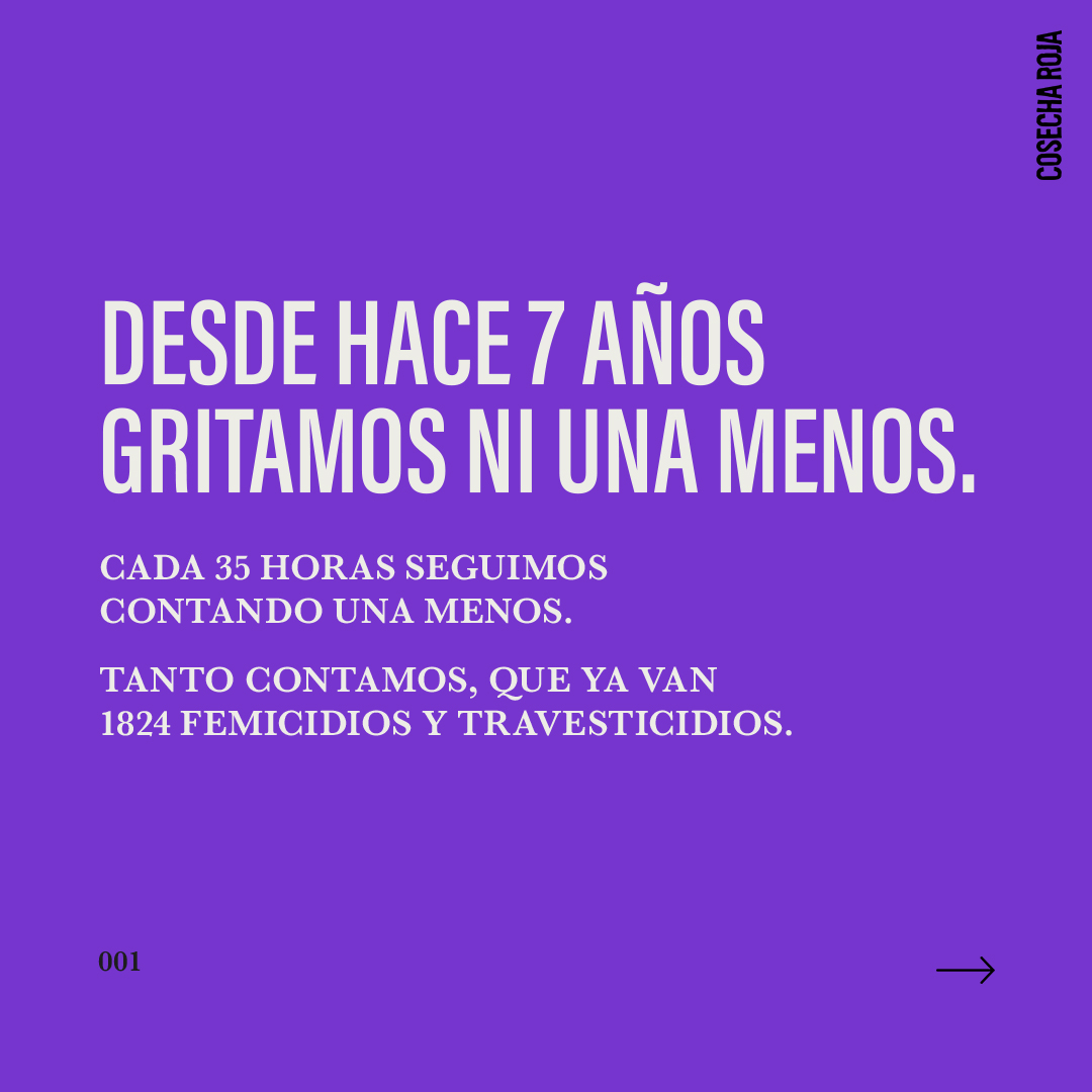 cosecharoja's tweet image. 