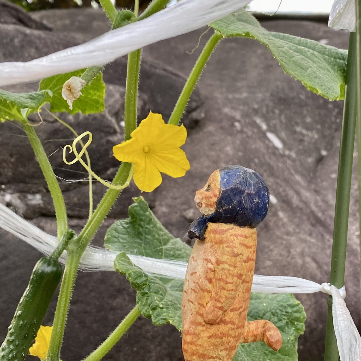 花房さくら Hanafusa Sakura さんのtwitterモデル作品まとめ 418 件 Twoucan