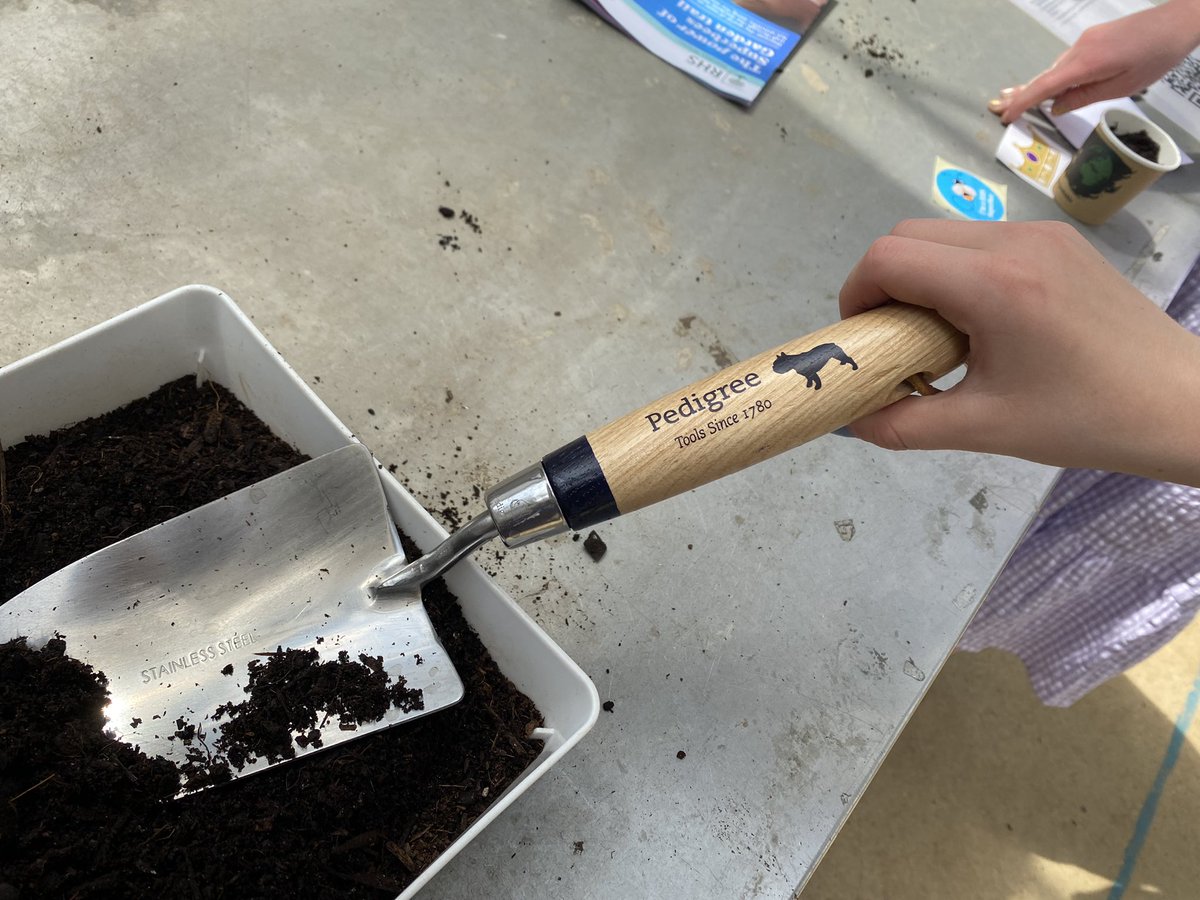 TheGreenJeanie's tweet photo. Day 7 at @RHSWisley #SuperBees today we have #beesafaris looking at our #gardenbees #wildbees #bumblebees #solitarybees &amp; planting #seeds for #bees. Come &amp; find us in the CLORE learning centre! https://t.co/XfPP1KW3lu