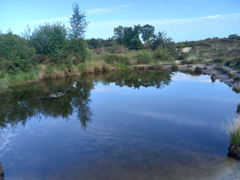 JasonCorlett1's tweet photo. Nice morning walk with the dog this morning at Bovey heath https://t.co/tnJu3QZcB4
