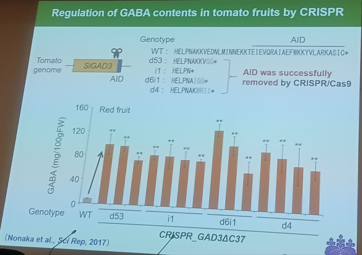 Solgenetics tweet media