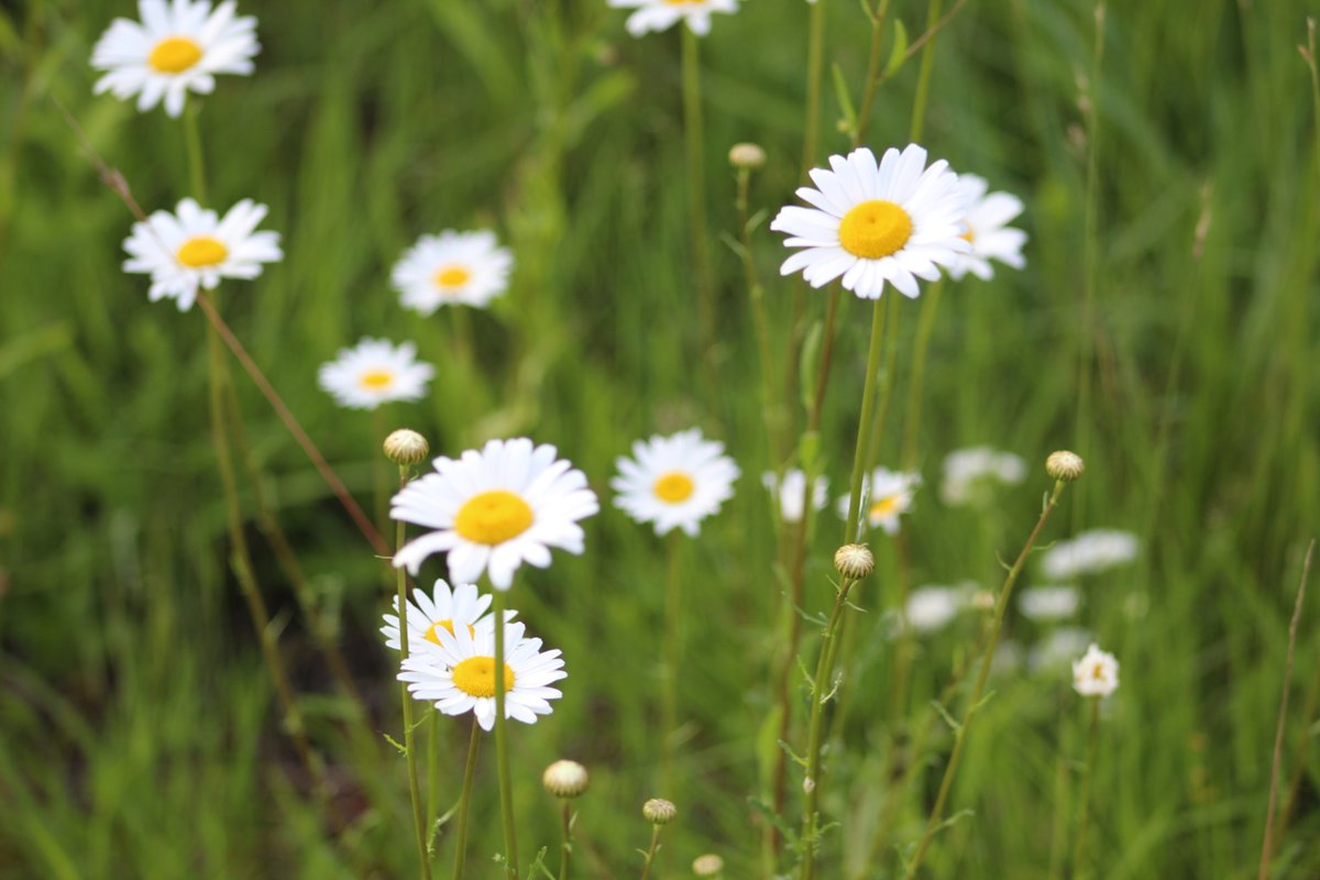 Vanwege Pinksteren zijn wij maandag 6 juni gesloten. Vanaf dinsdag 7 juni staan wij weer voor u klaar. Ps. Heeft u een spoedmelding die absoluut niet kan wachten tot 7 juni? Wij zijn 24/7 bereikbaar via 0182 - 64 64 64.