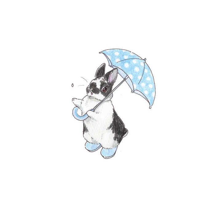 🐰☔️

ポツポツしてきたね 