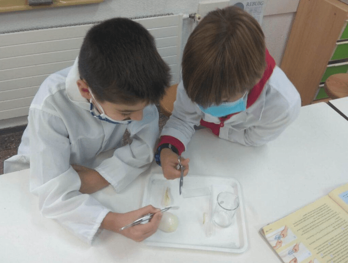 RMirades's tweet photo. L'escola Pérez Sala ens explica el seu treball del mètode científic i experimental . A @RMirades  donem suport a la bona feina de les escoles de #vilassardemar https://t.co/DqNTvadYr8 @EPSVdM @AfaPerezSala @xarxaCb https://t.co/LmVyBf7egd