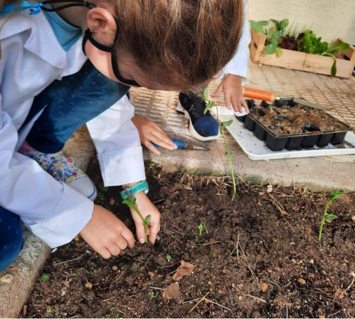 L'escola Pérez Sala ens explica el seu treball del mètode científic i experimental . A <a href="/RMirades/">Revista Mirades</a>  donem suport a la bona feina de les escoles de #vilassardemar revistamirades.cat/2022/05/29/pro… <a href="/EPSVdM/">Escola Pérez Sala</a> <a href="/AfaPerezSala/">Afa Pérez Sala</a> <a href="/xarxaCb/">Xarxa de Competències</a>