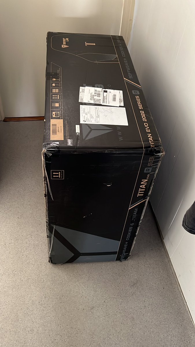 ویولنیست tweet media