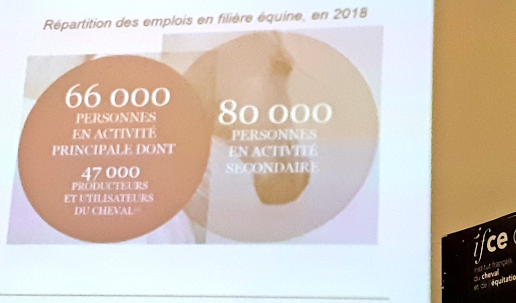 CharlotteDockes's tweet photo. La filiere รฉquine source d'emplois ... mais qui peine ร recruter !
#JSIE
@Ifce_officiel
Une analyse de P Heydman, observatoire รฉconomique et social du cheval !
En lien avec le rรฉseau #REFerence https://t.co/YLKhywv5ha
