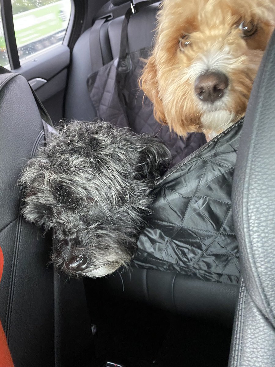 SidtheSod2's tweet photo. Road trip https://t.co/7wKK03Y7bW