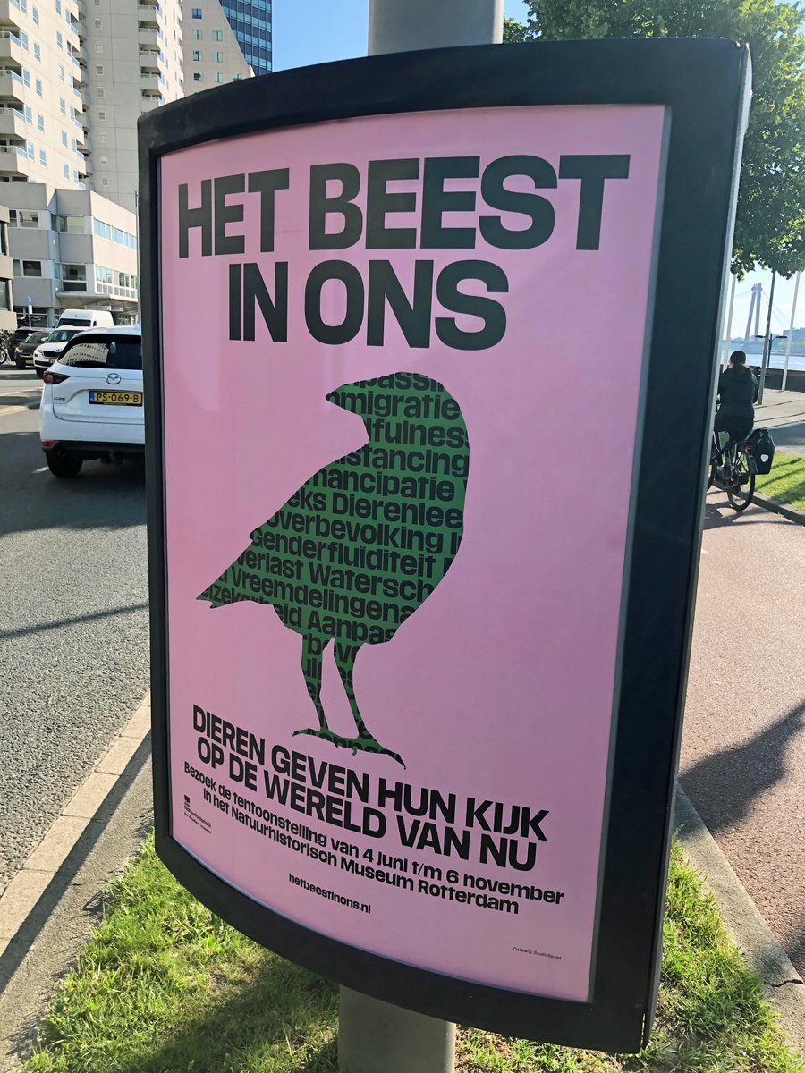 KeesMoeliker's tweet image. Vandaag lanceren we 'Het beest in ons' - een tentoonstelling en een boek waarin dieren uit de collectie van @HetNatuurhist hun kijk geven op de wereld van nu, via de pen van 25 schrijvers en de stemmen van evenzoveel inwoners van Rotterdam: hetbeestinons.nl #hetbeestinons